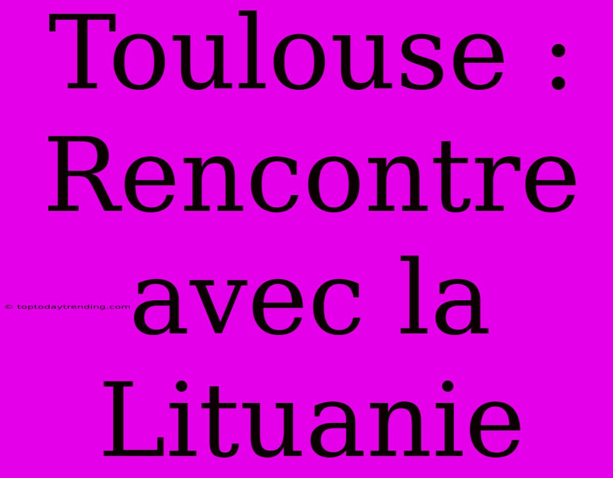 Toulouse : Rencontre Avec La Lituanie