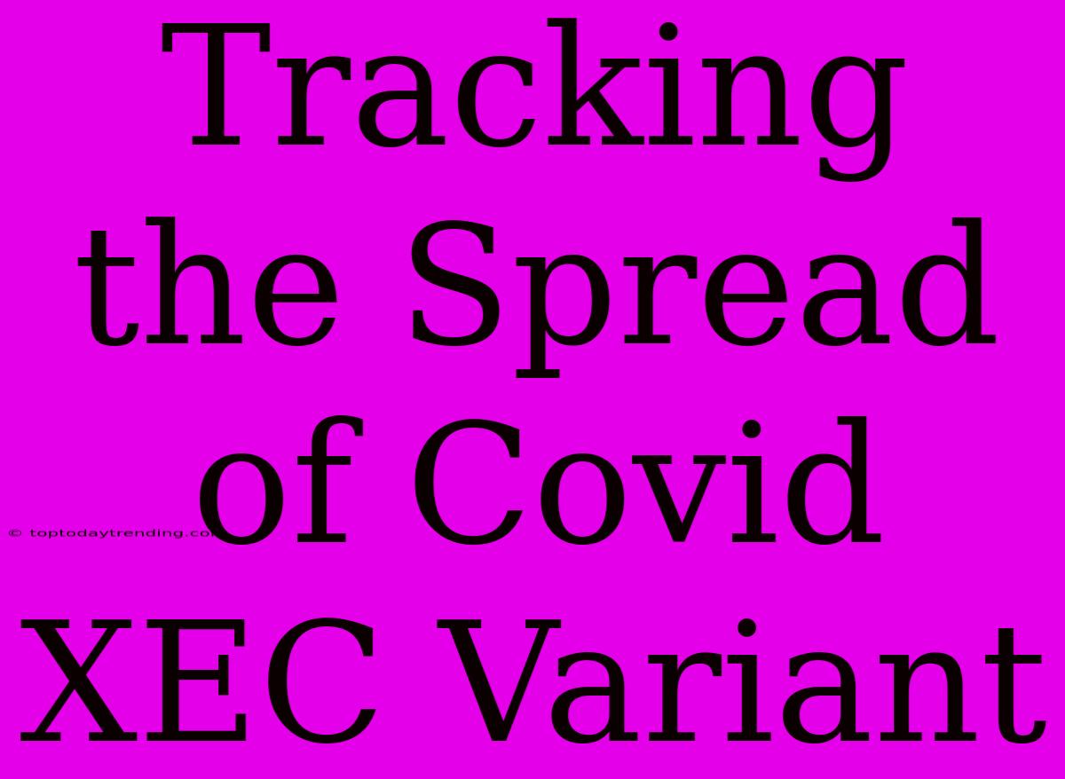 Tracking The Spread Of Covid XEC Variant