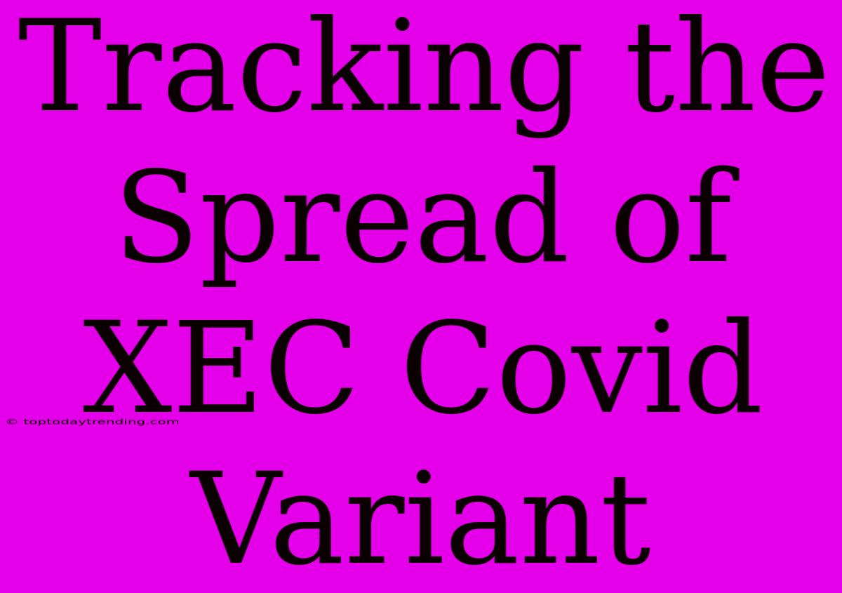 Tracking The Spread Of XEC Covid Variant