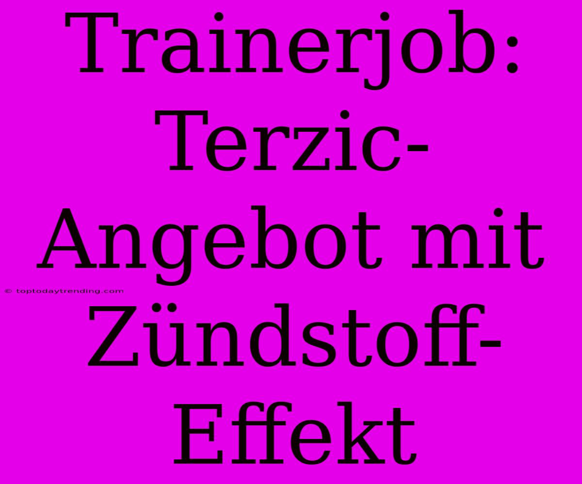 Trainerjob: Terzic-Angebot Mit Zündstoff-Effekt