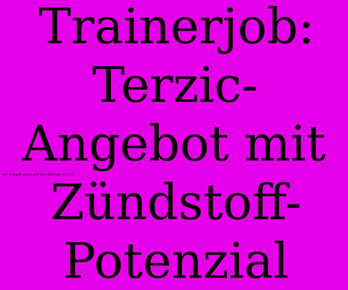 Trainerjob: Terzic-Angebot Mit Zündstoff-Potenzial