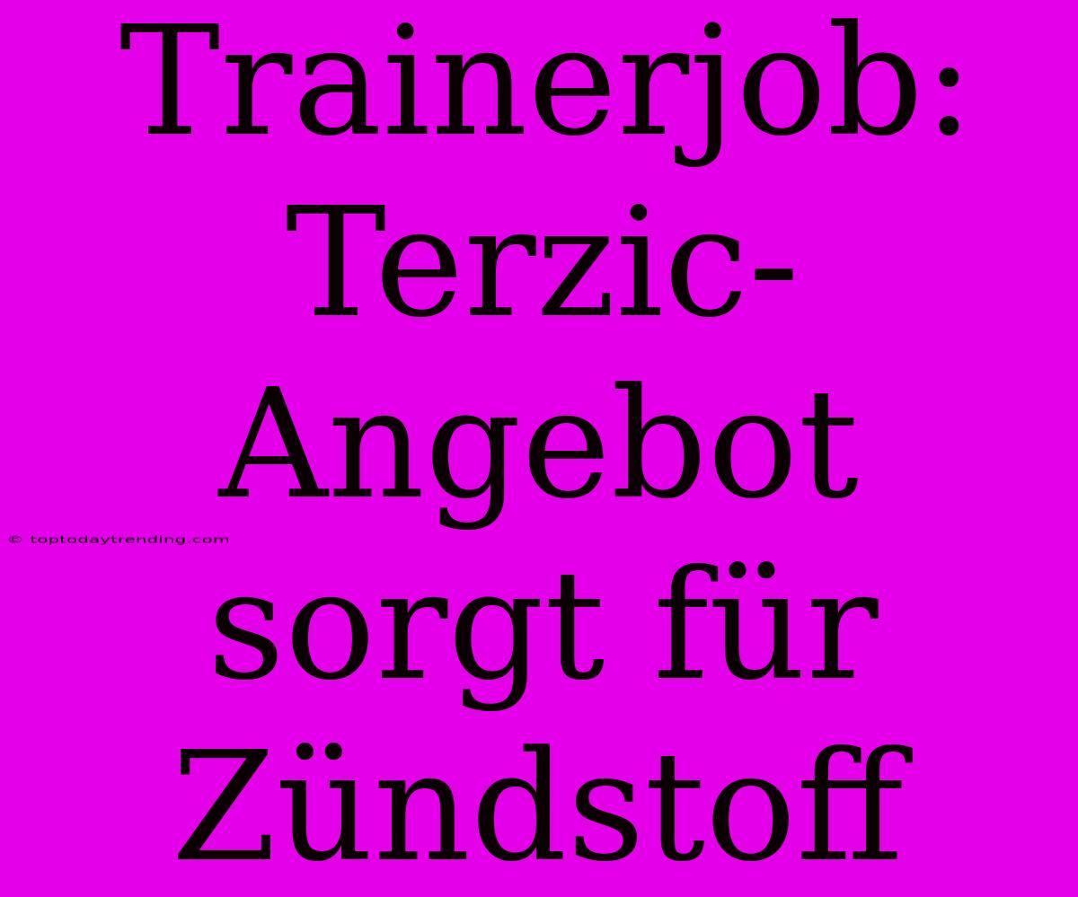 Trainerjob: Terzic-Angebot Sorgt Für Zündstoff