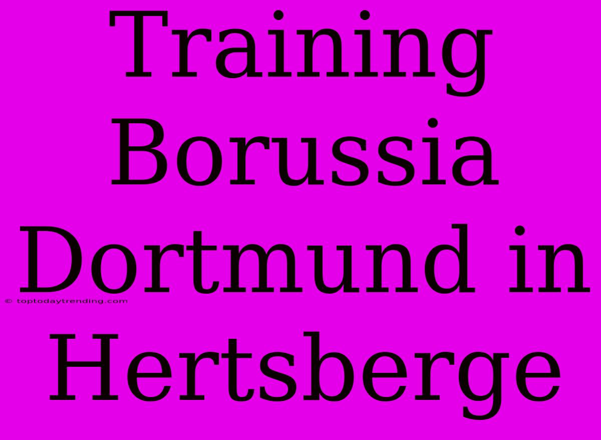 Training Borussia Dortmund In Hertsberge