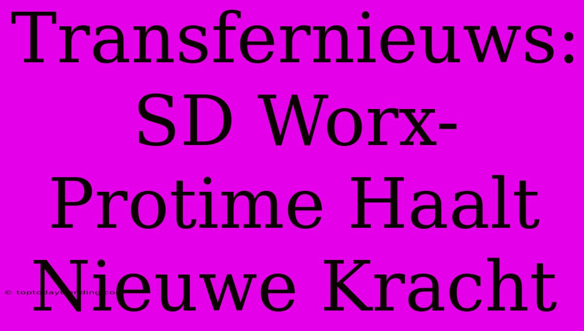 Transfernieuws: SD Worx-Protime Haalt Nieuwe Kracht