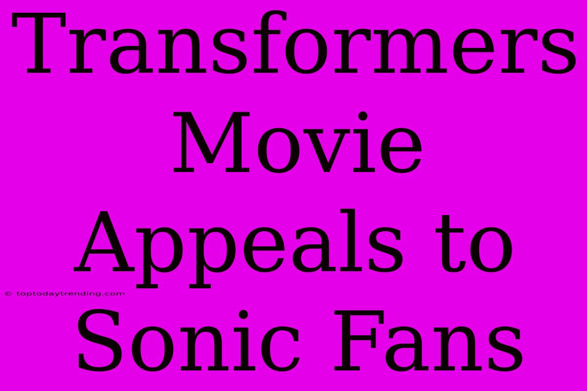 Transformers Movie Appeals To Sonic Fans