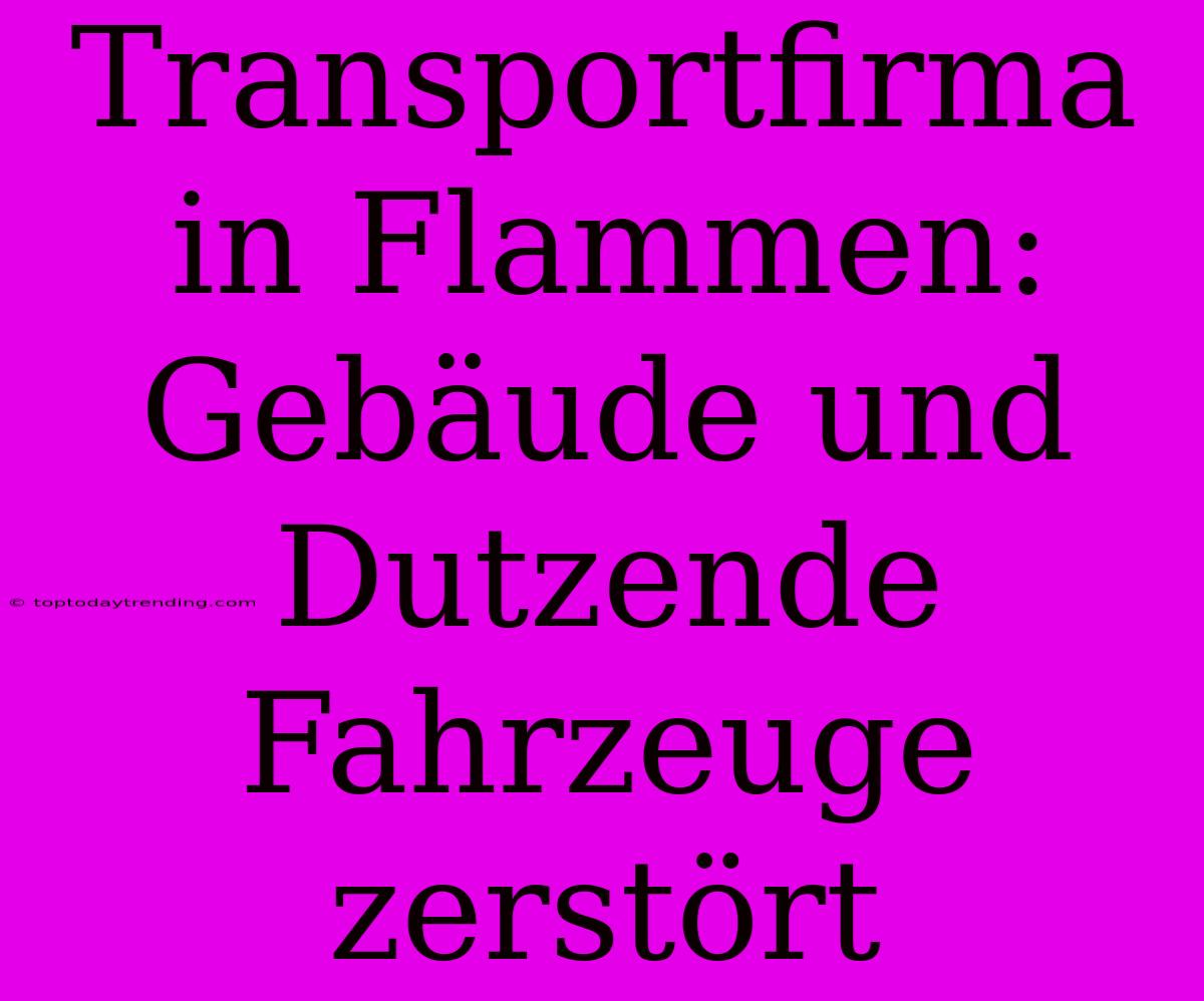 Transportfirma In Flammen: Gebäude Und Dutzende Fahrzeuge Zerstört