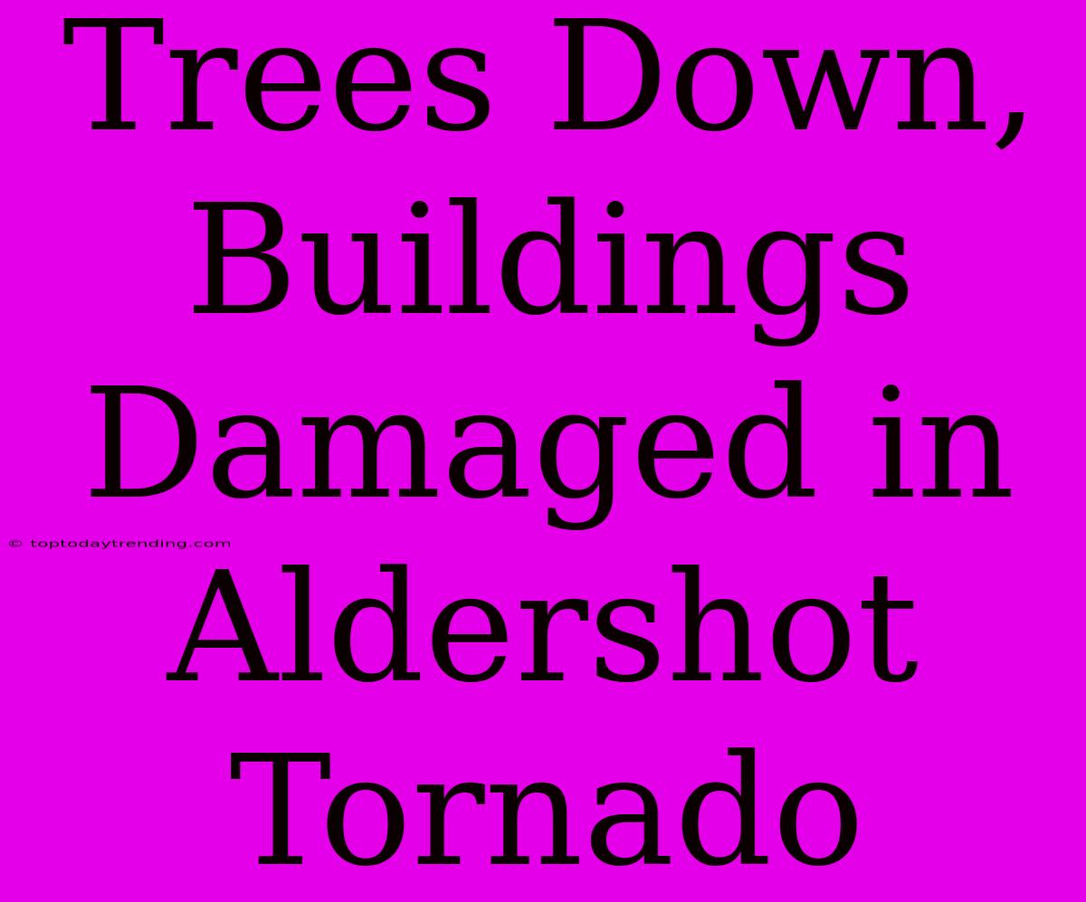 Trees Down, Buildings Damaged In Aldershot Tornado