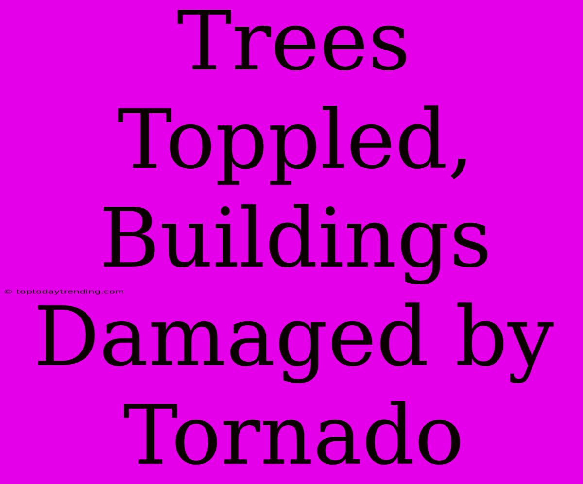 Trees Toppled, Buildings Damaged By Tornado