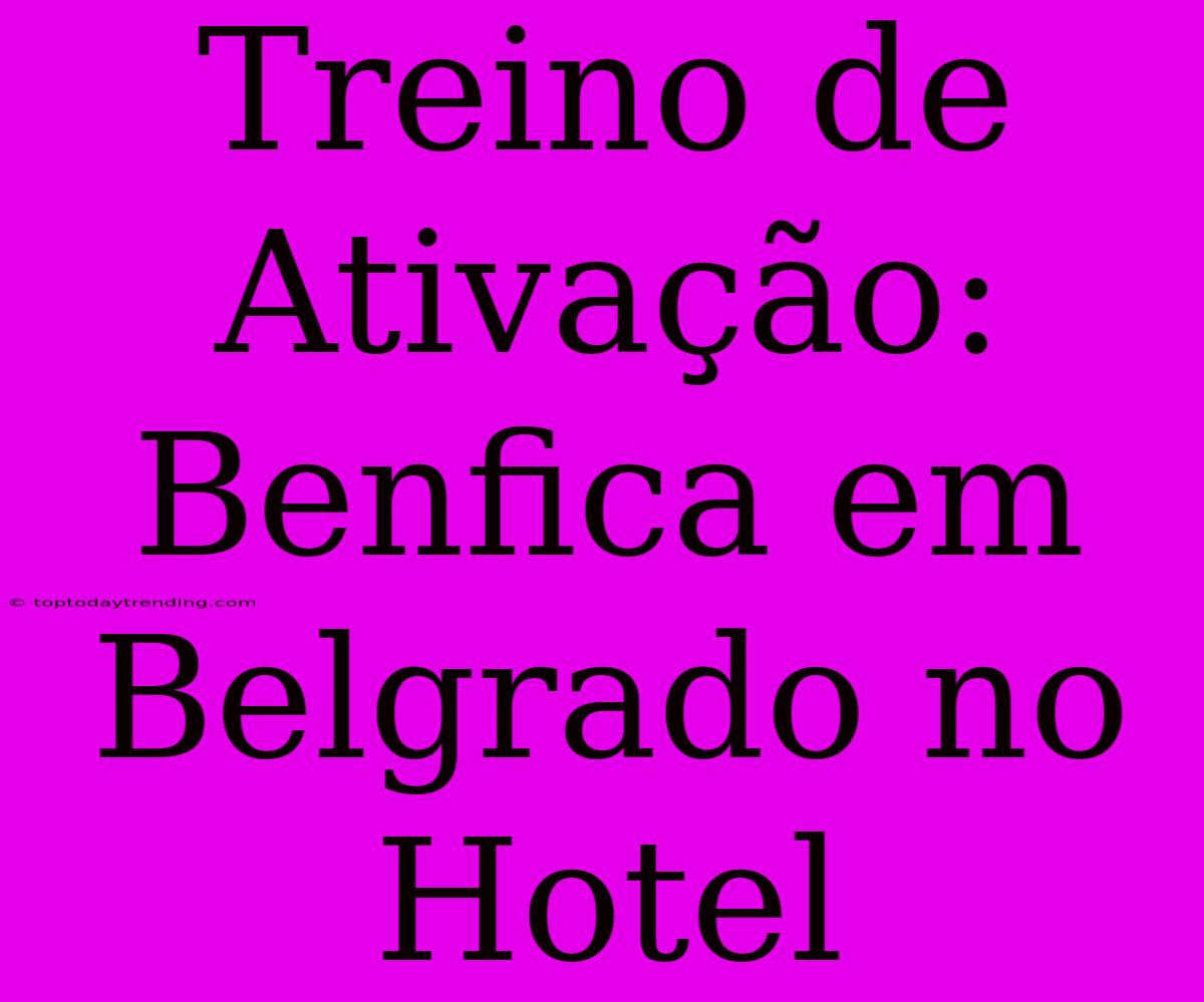 Treino De Ativação: Benfica Em Belgrado No Hotel