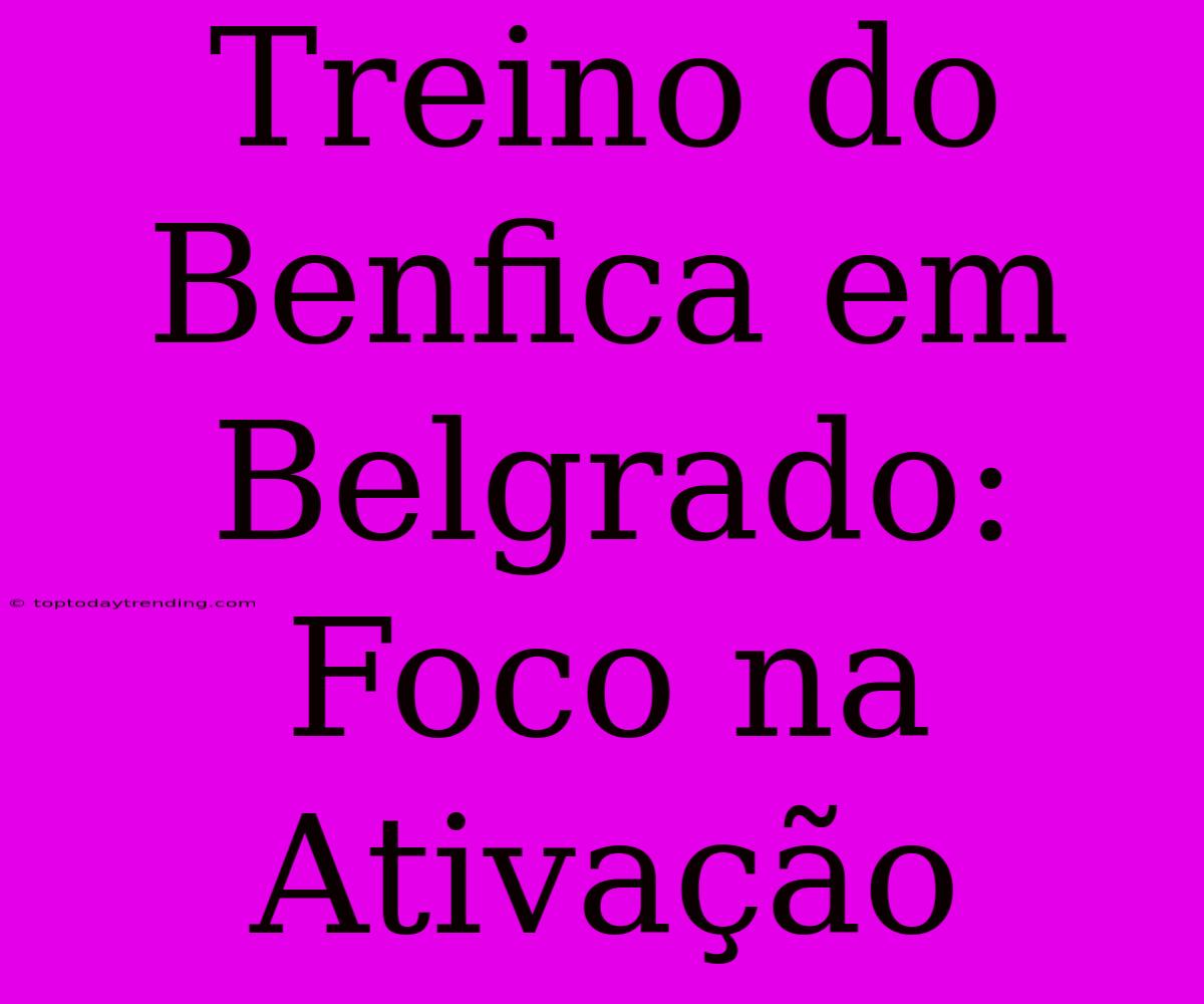 Treino Do Benfica Em Belgrado: Foco Na Ativação