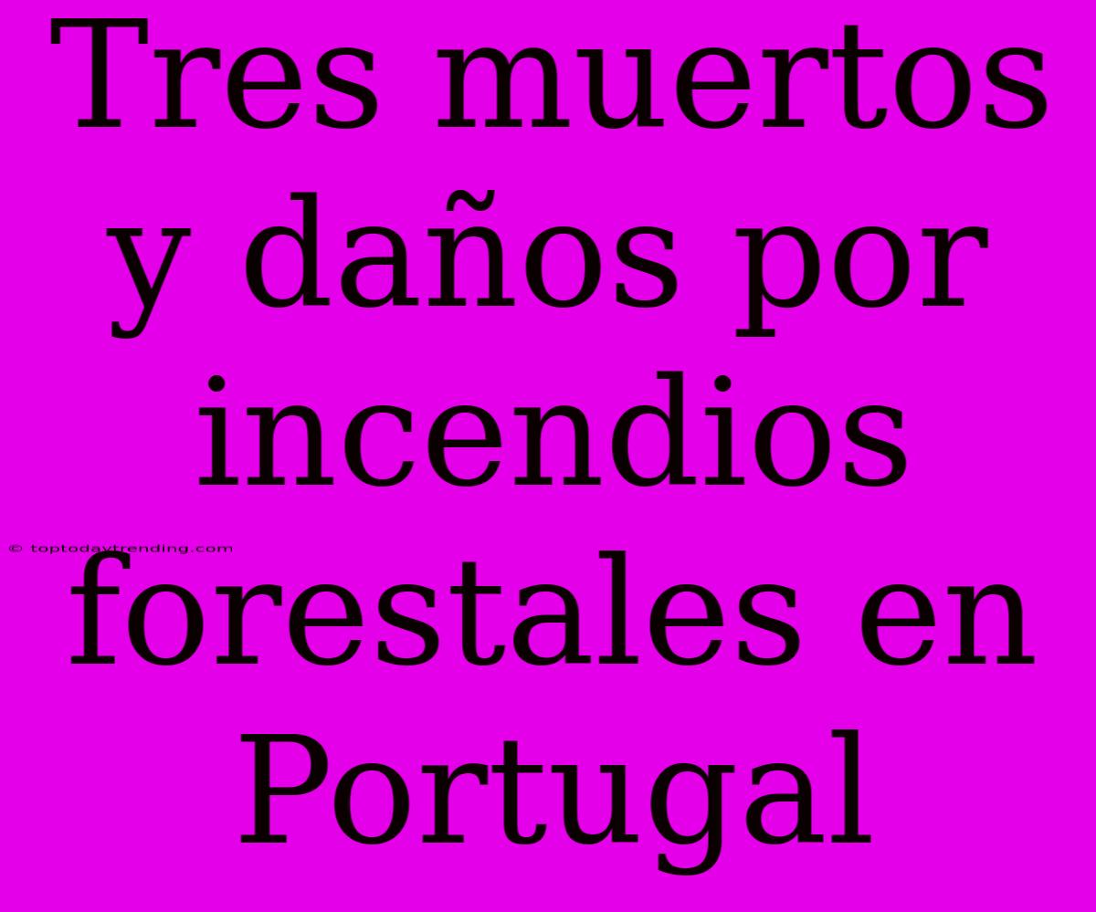 Tres Muertos Y Daños Por Incendios Forestales En Portugal