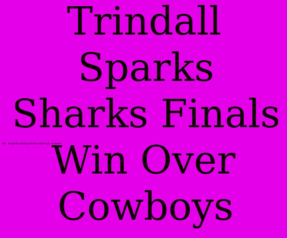 Trindall Sparks Sharks Finals Win Over Cowboys