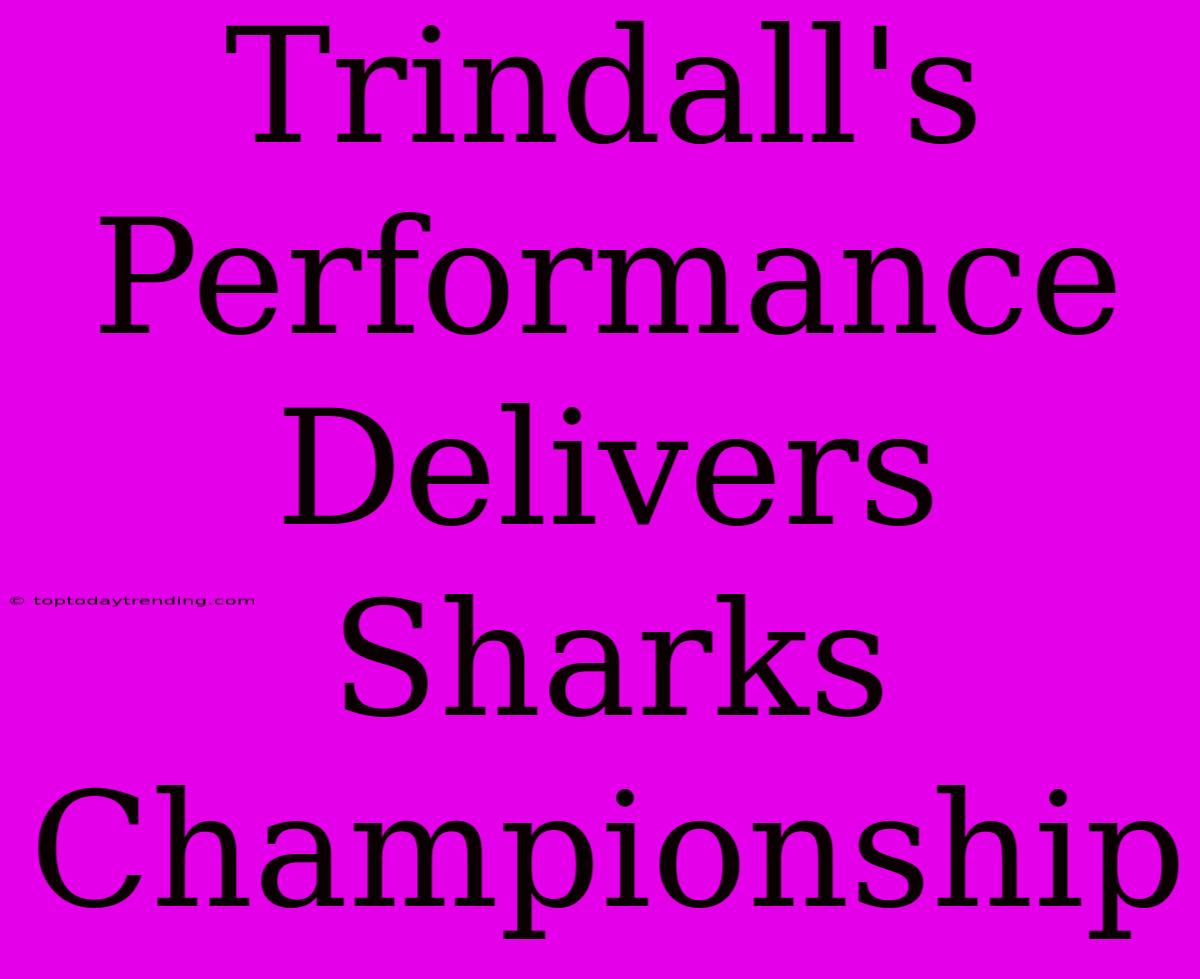 Trindall's Performance Delivers Sharks Championship