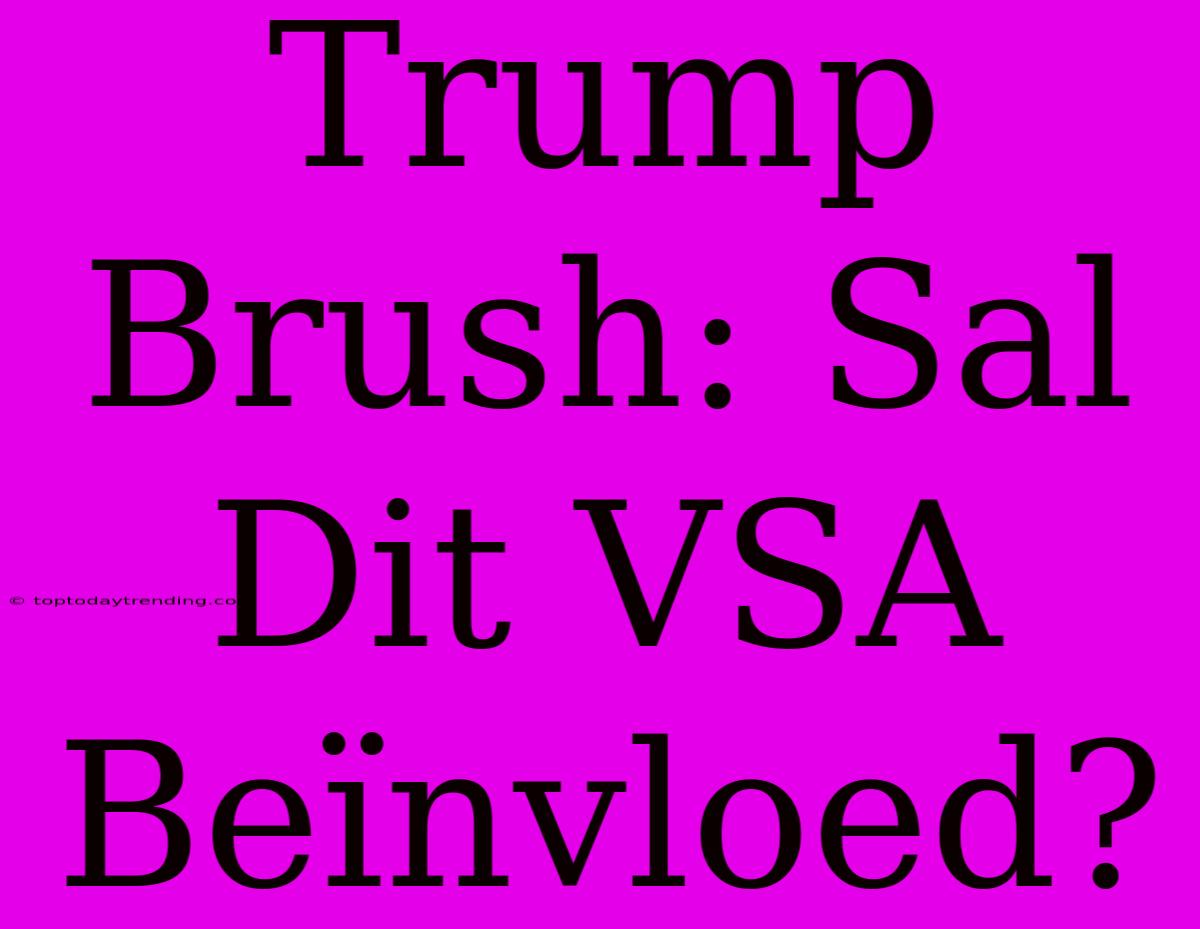 Trump Brush: Sal Dit VSA Beïnvloed?