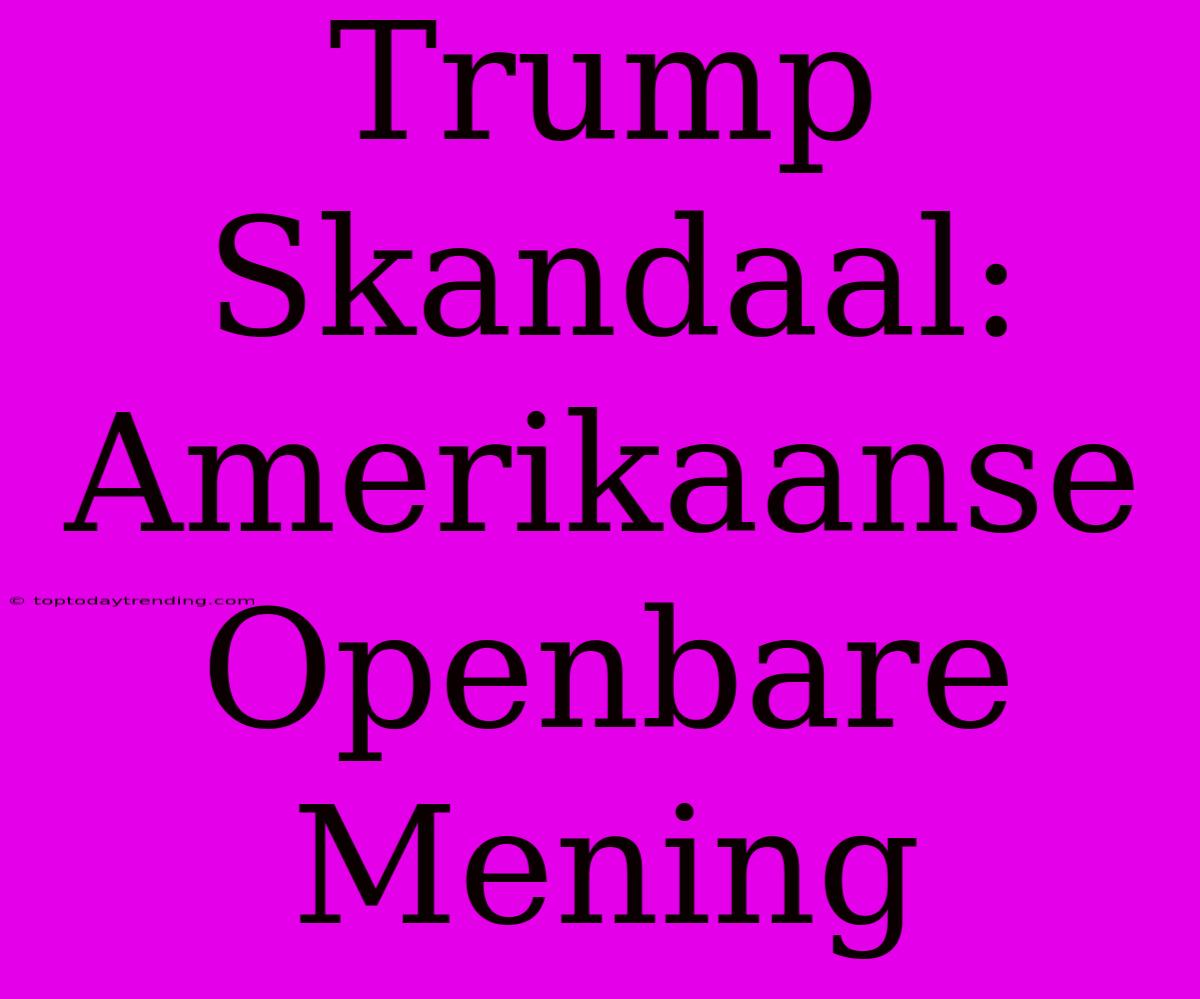 Trump Skandaal: Amerikaanse Openbare Mening