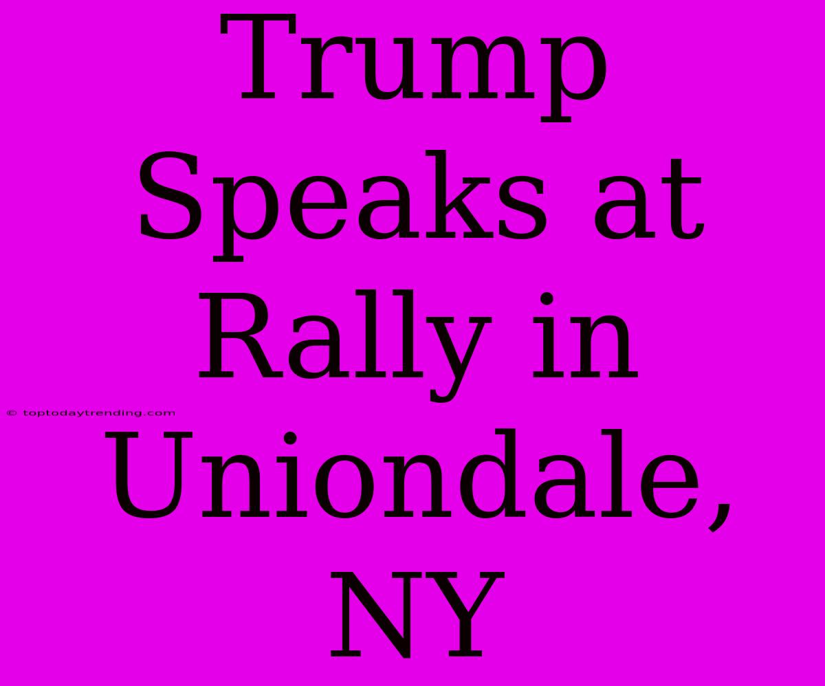 Trump Speaks At Rally In Uniondale, NY