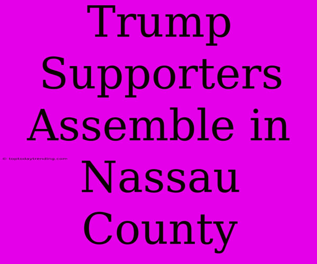 Trump Supporters Assemble In Nassau County