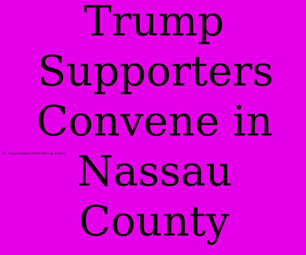 Trump Supporters Convene In Nassau County