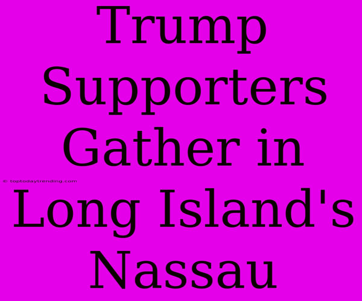 Trump Supporters Gather In Long Island's Nassau