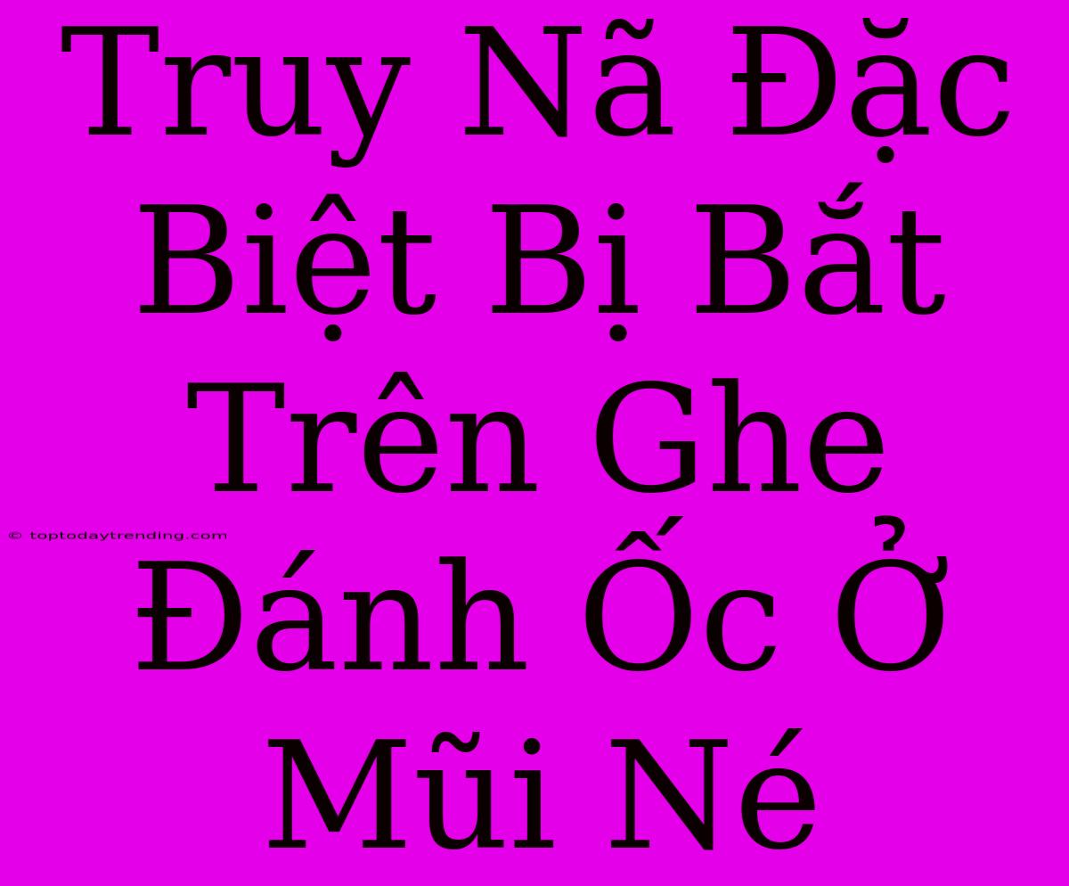 Truy Nã Đặc Biệt Bị Bắt Trên Ghe Đánh Ốc Ở Mũi Né