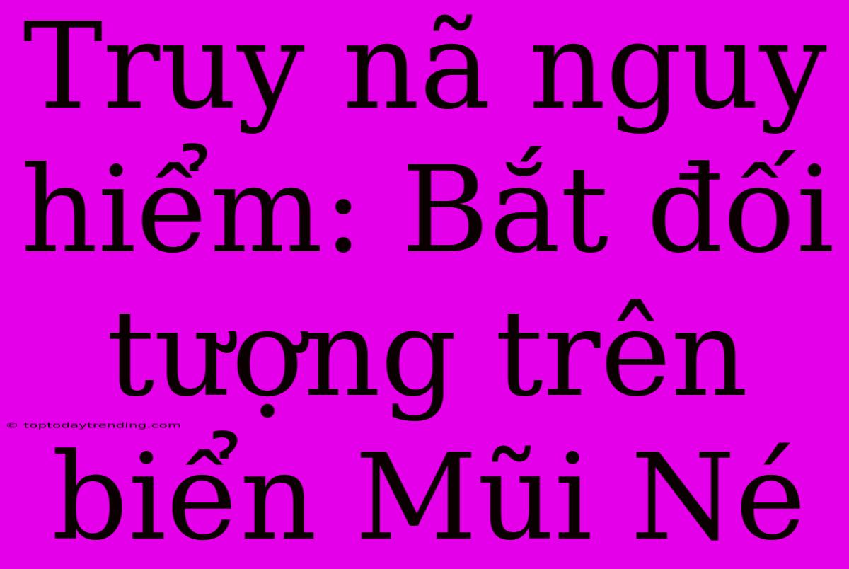 Truy Nã Nguy Hiểm: Bắt Đối Tượng Trên Biển Mũi Né