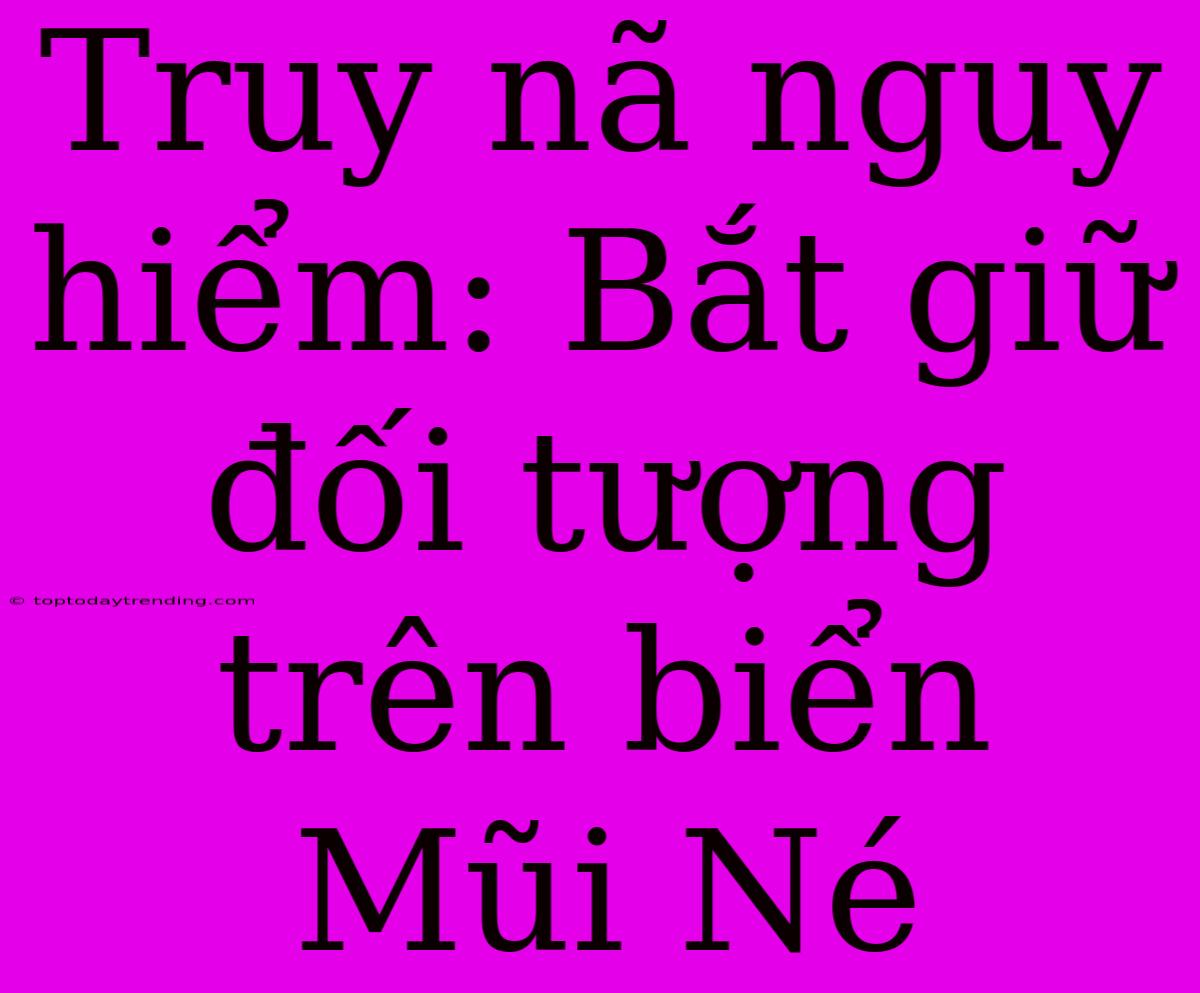 Truy Nã Nguy Hiểm: Bắt Giữ Đối Tượng Trên Biển Mũi Né