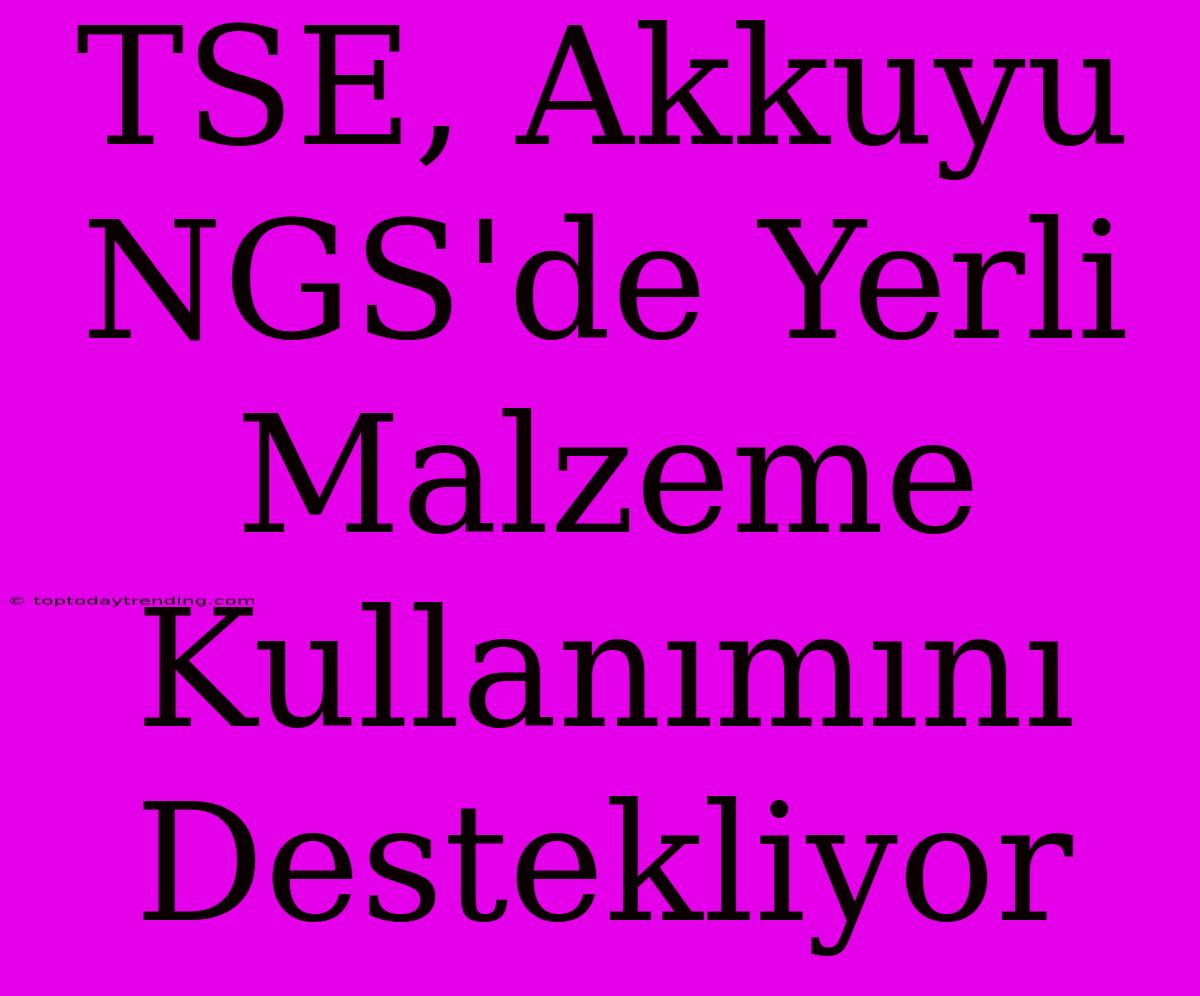 TSE, Akkuyu NGS'de Yerli Malzeme Kullanımını Destekliyor