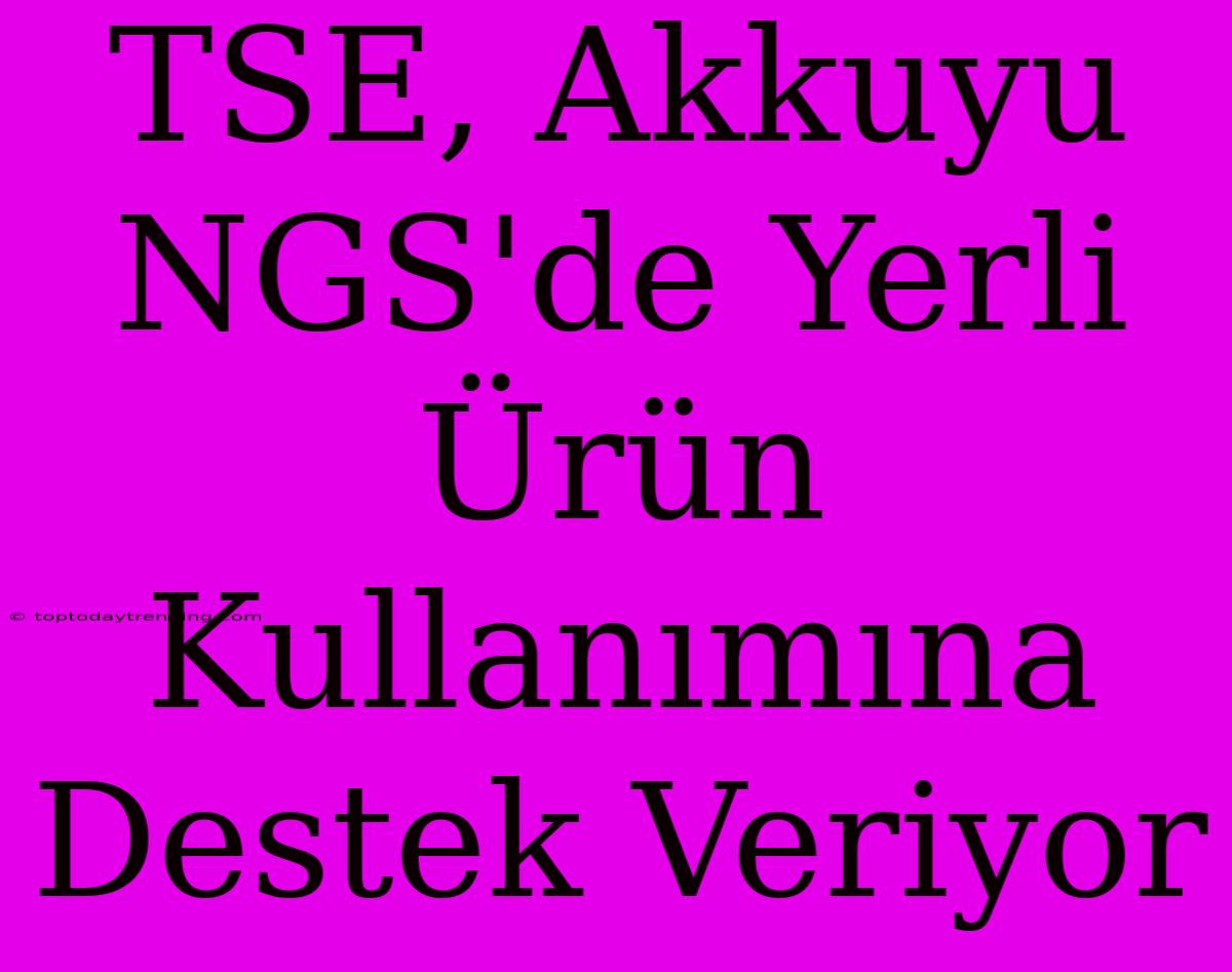 TSE, Akkuyu NGS'de Yerli Ürün Kullanımına Destek Veriyor