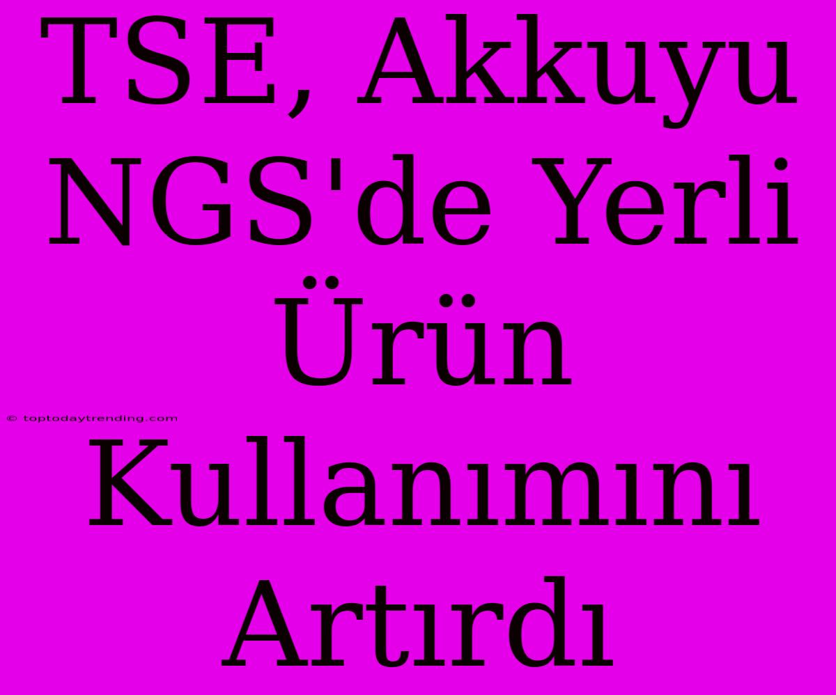 TSE, Akkuyu NGS'de Yerli Ürün Kullanımını Artırdı