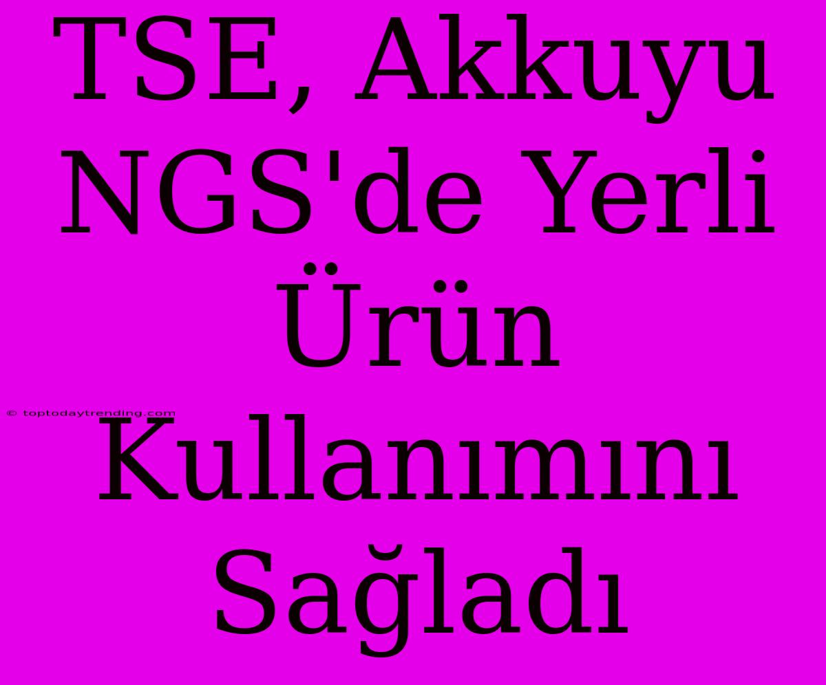 TSE, Akkuyu NGS'de Yerli Ürün Kullanımını Sağladı