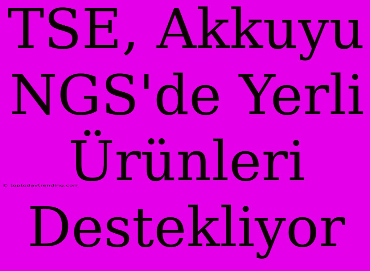 TSE, Akkuyu NGS'de Yerli Ürünleri Destekliyor