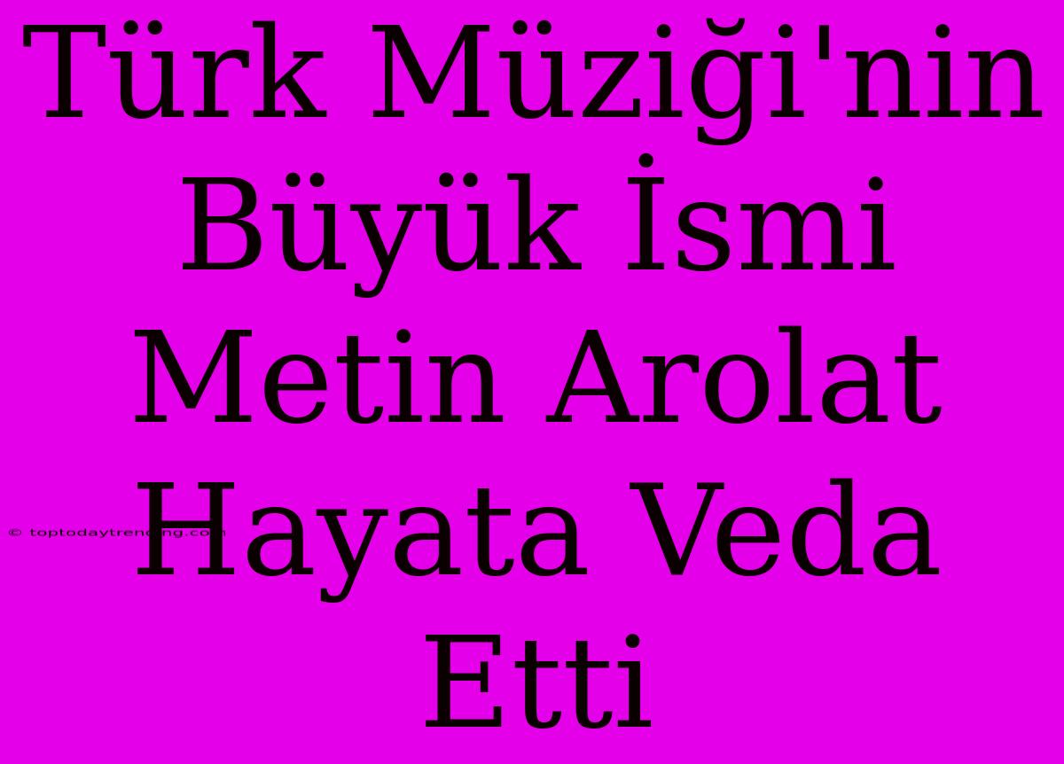 Türk Müziği'nin Büyük İsmi Metin Arolat Hayata Veda Etti