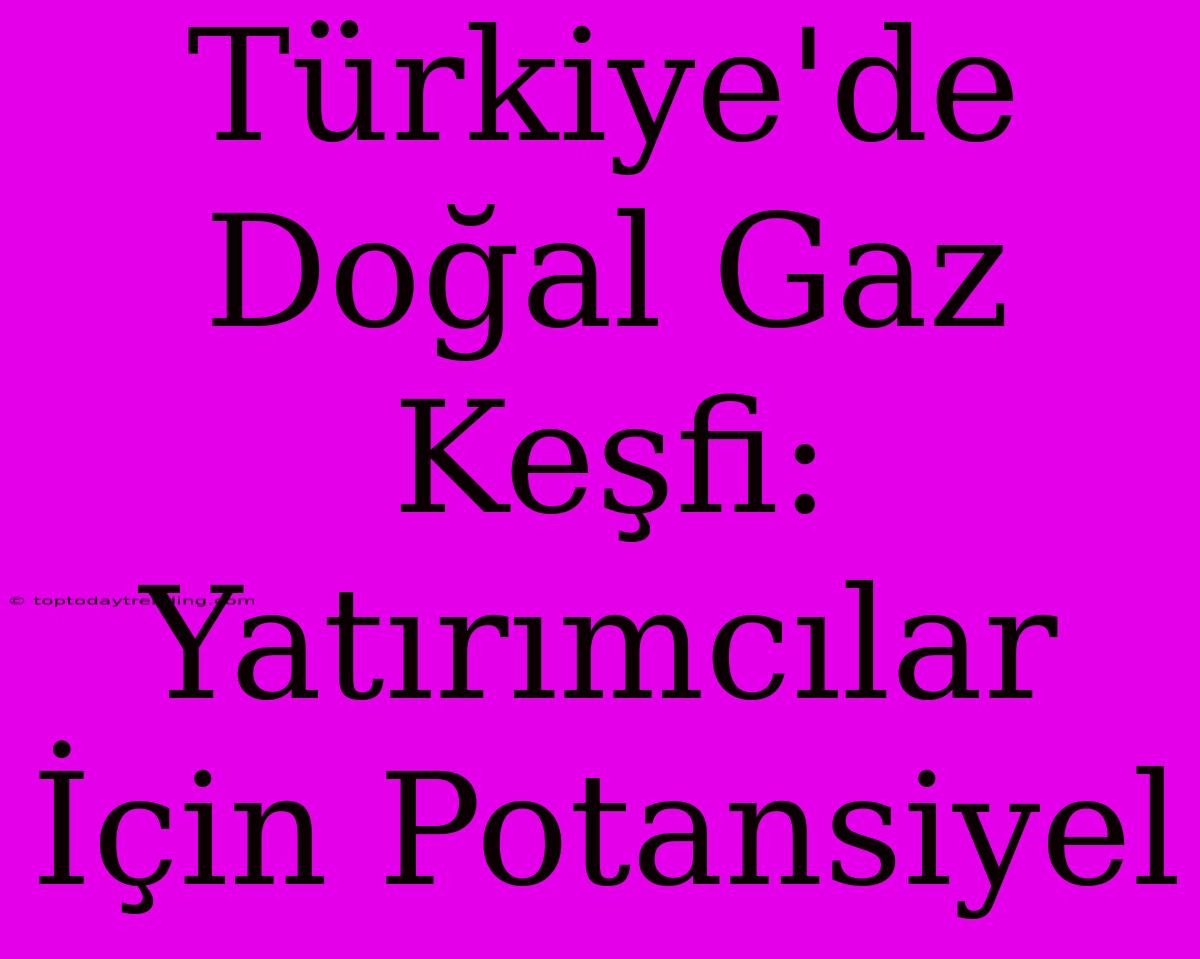 Türkiye'de Doğal Gaz Keşfi: Yatırımcılar İçin Potansiyel