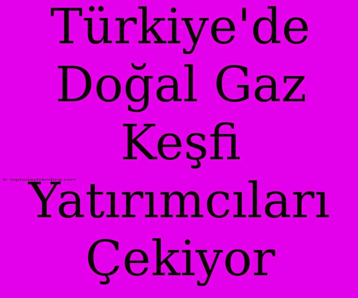 Türkiye'de Doğal Gaz Keşfi Yatırımcıları Çekiyor