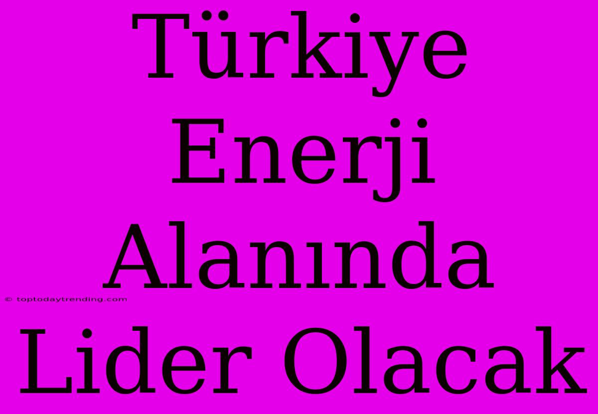 Türkiye Enerji Alanında Lider Olacak