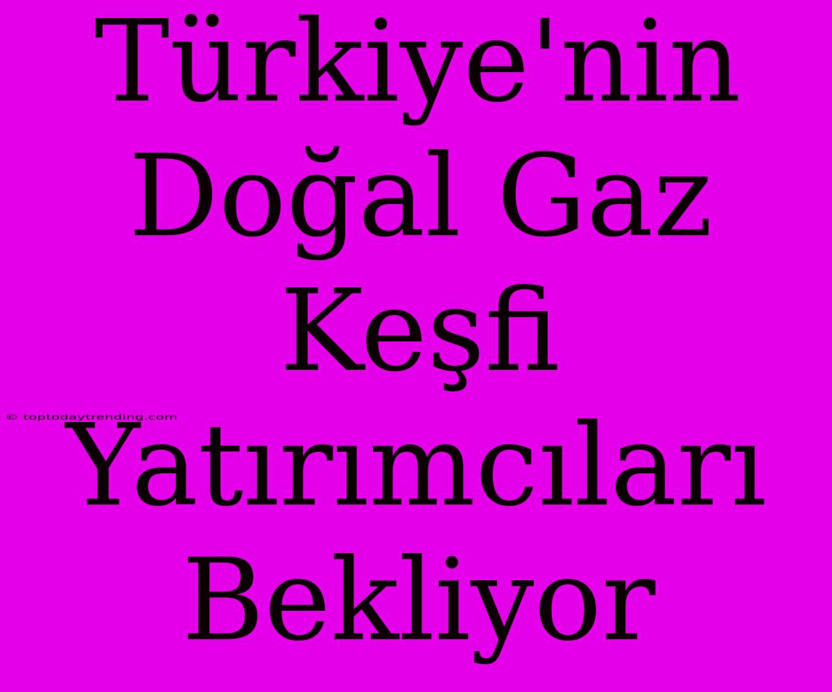 Türkiye'nin Doğal Gaz Keşfi Yatırımcıları Bekliyor