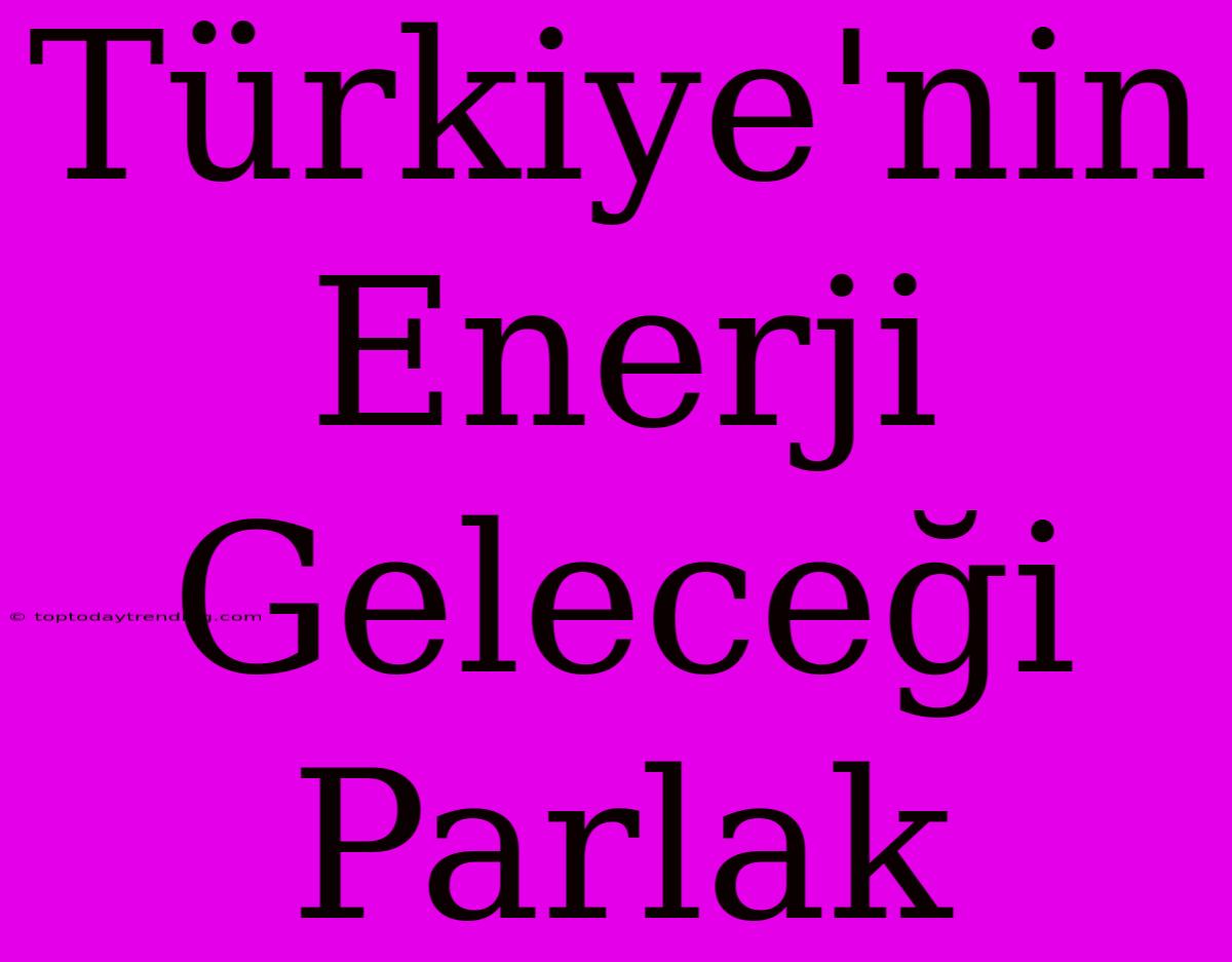 Türkiye'nin Enerji Geleceği Parlak