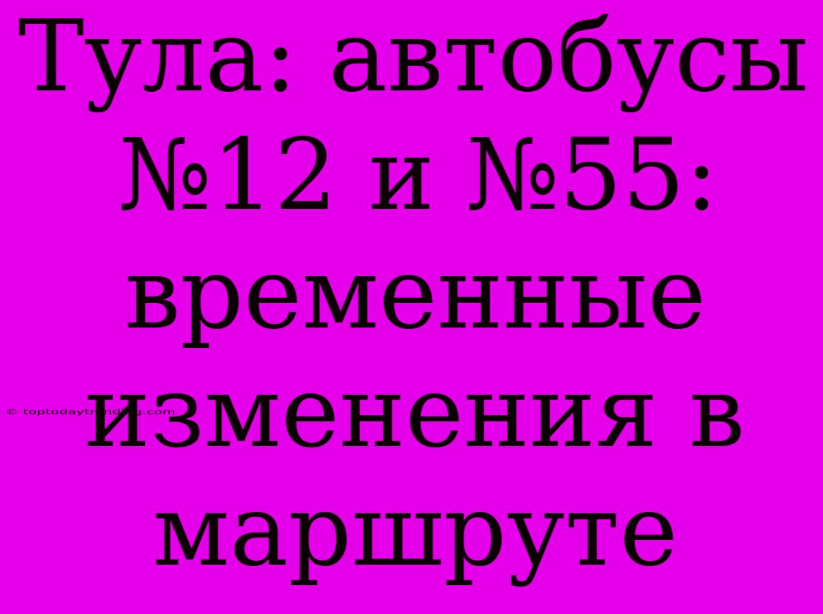 Тула: Автобусы №12 И №55: Временные Изменения В Маршруте