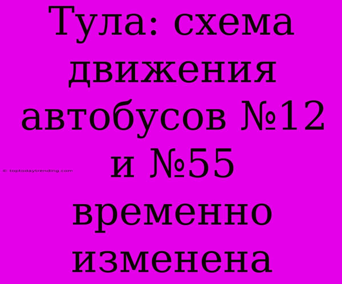 Тула: Схема Движения Автобусов №12 И №55 Временно Изменена