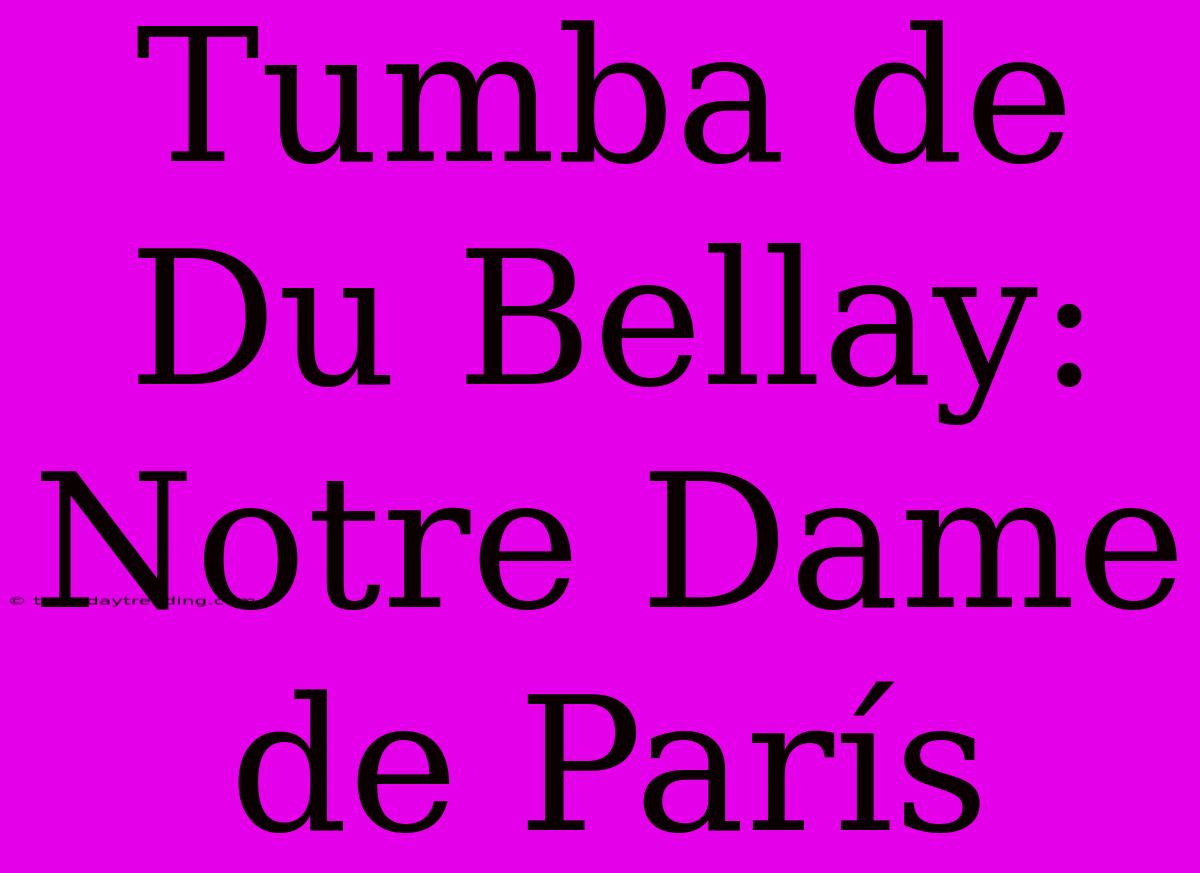 Tumba De Du Bellay: Notre Dame De París