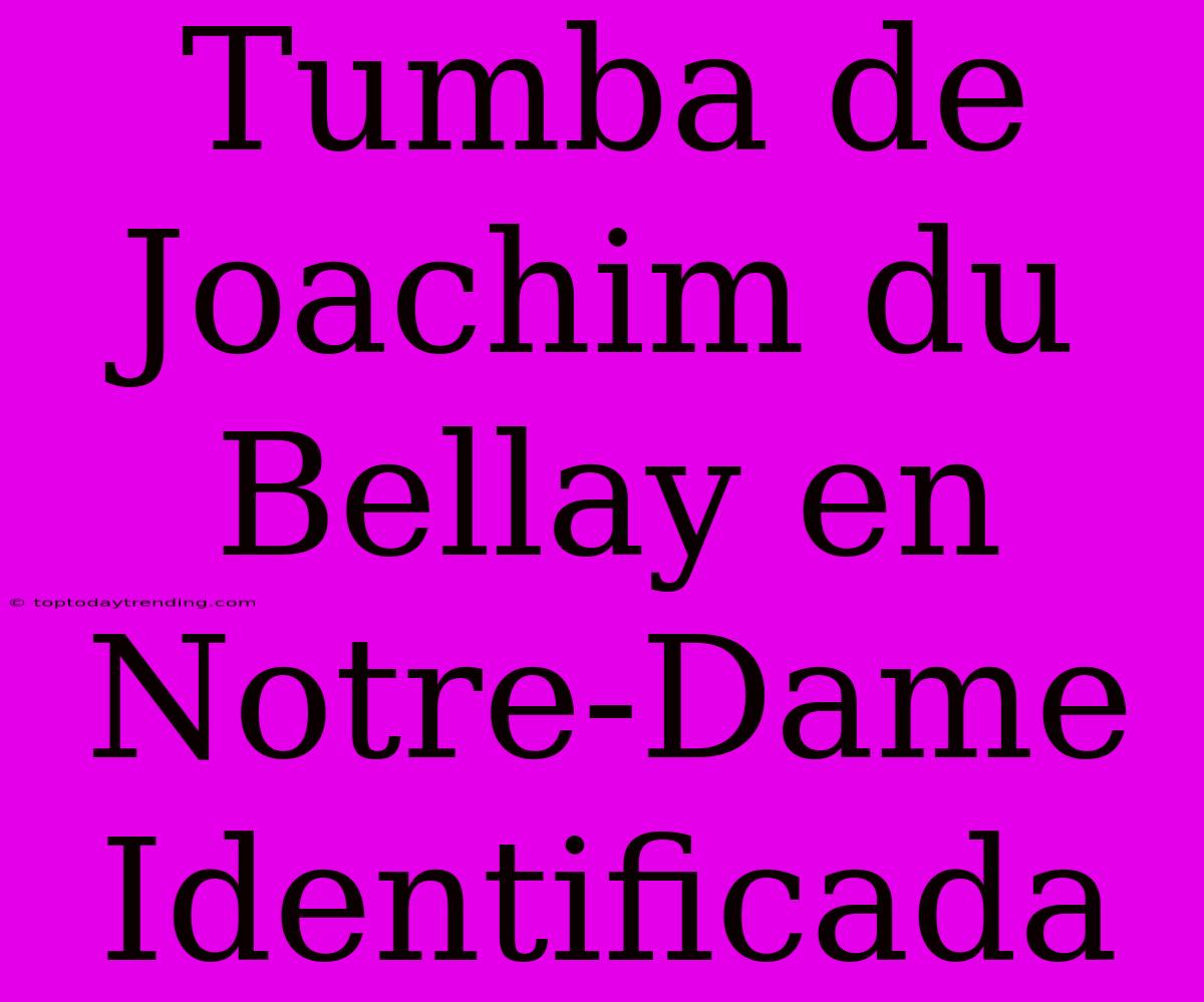 Tumba De Joachim Du Bellay En Notre-Dame Identificada