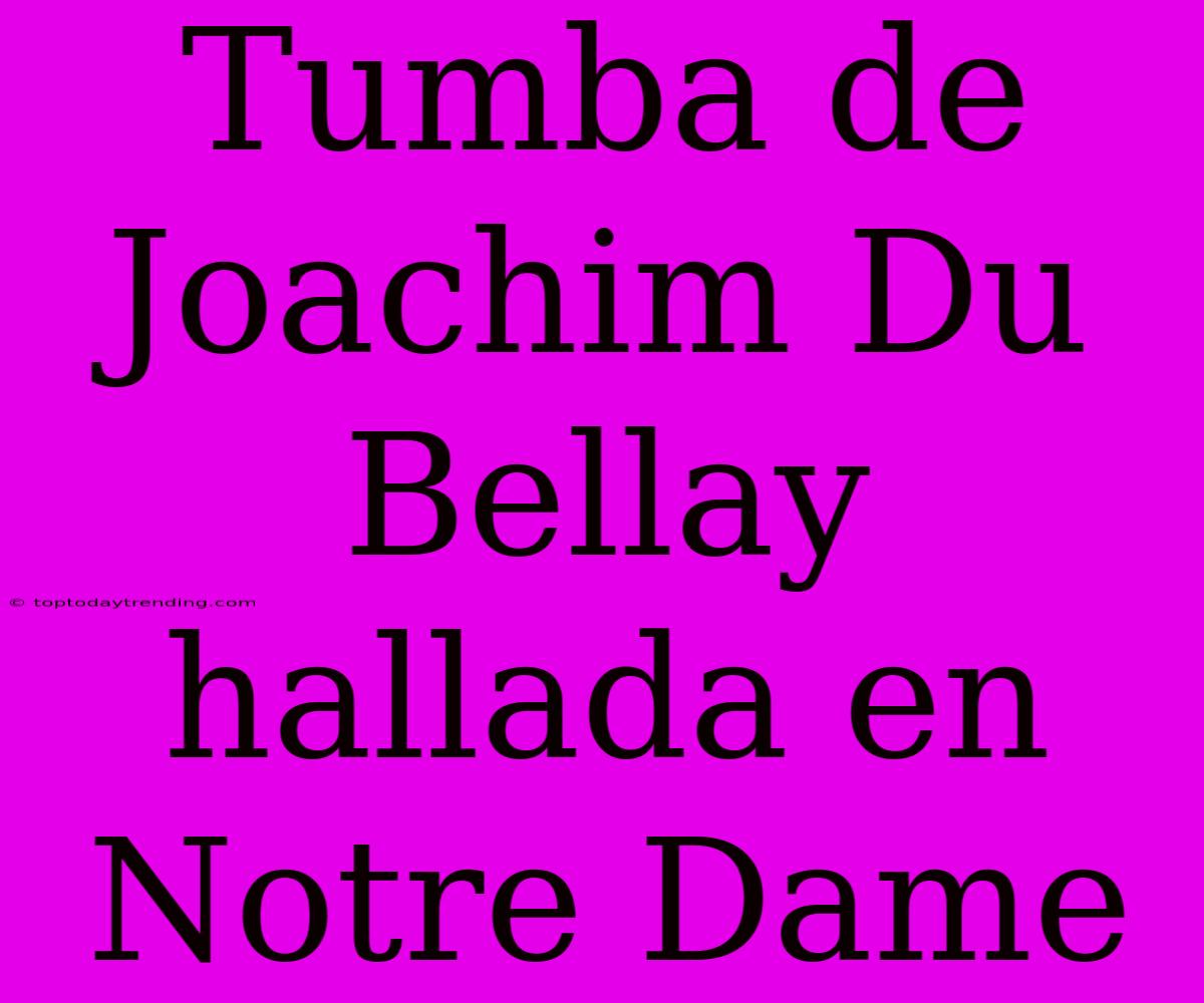 Tumba De Joachim Du Bellay Hallada En Notre Dame