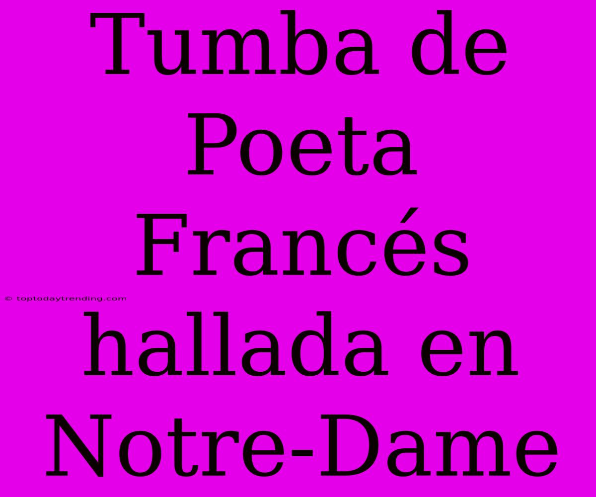 Tumba De Poeta Francés Hallada En Notre-Dame