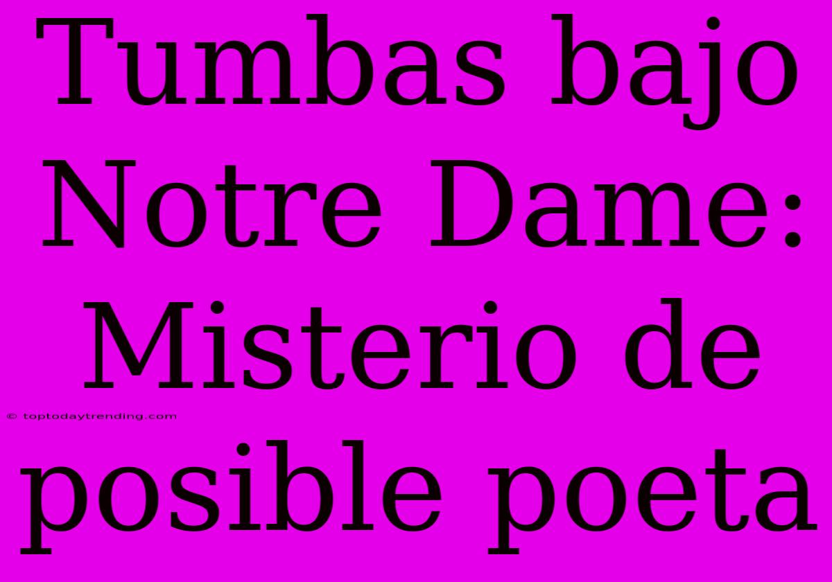 Tumbas Bajo Notre Dame: Misterio De Posible Poeta