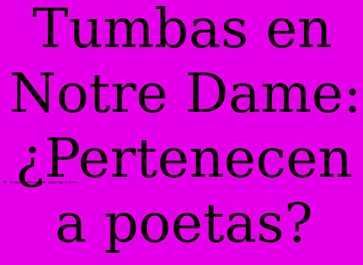 Tumbas En Notre Dame: ¿Pertenecen A Poetas?