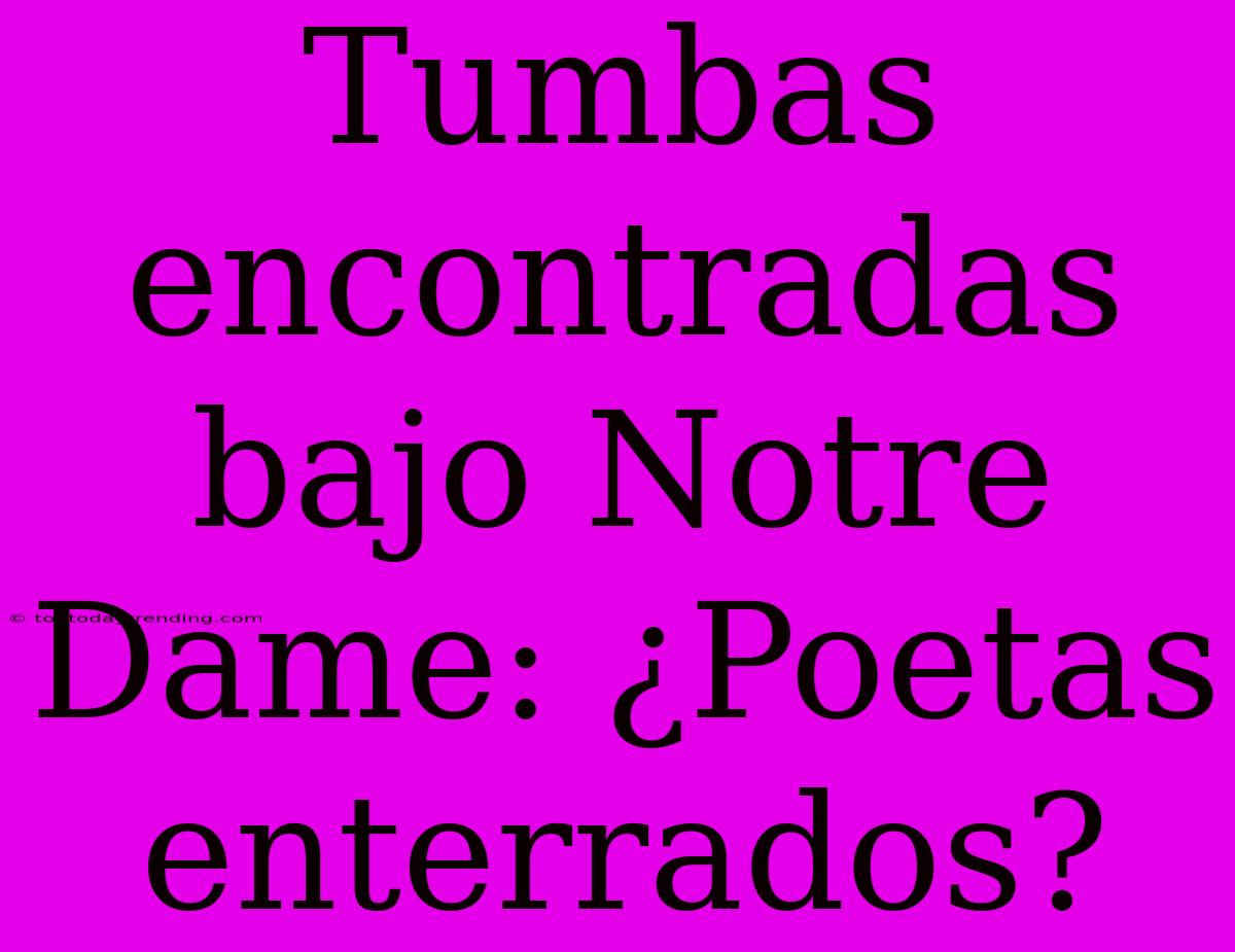 Tumbas Encontradas Bajo Notre Dame: ¿Poetas Enterrados?