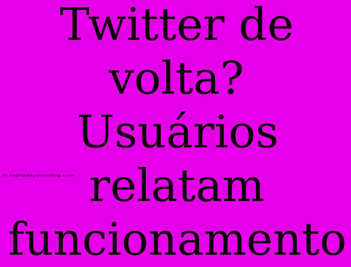 Twitter De Volta? Usuários Relatam Funcionamento