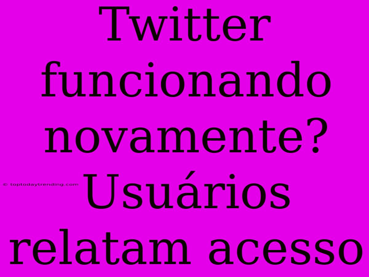 Twitter Funcionando Novamente? Usuários Relatam Acesso