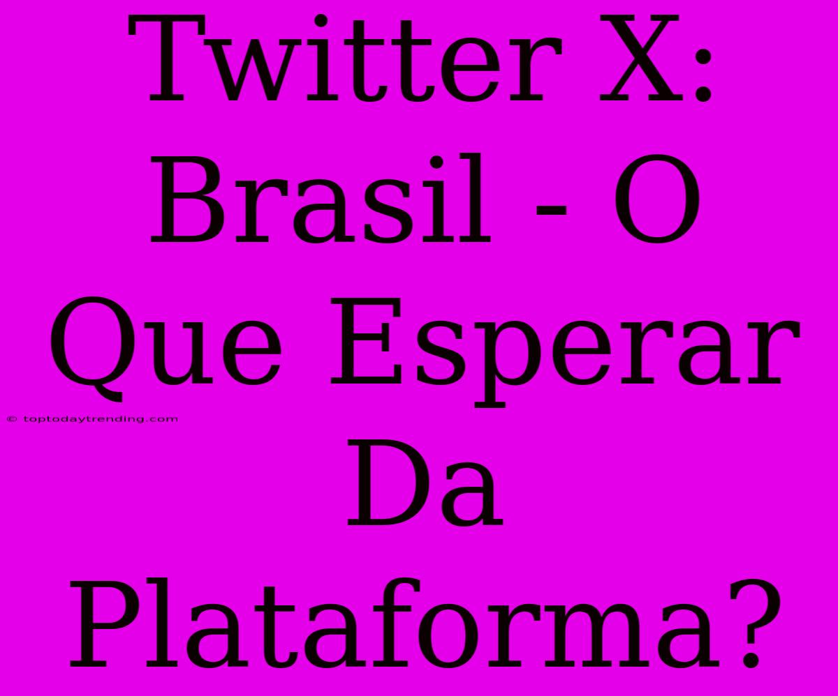 Twitter X: Brasil - O Que Esperar Da Plataforma?