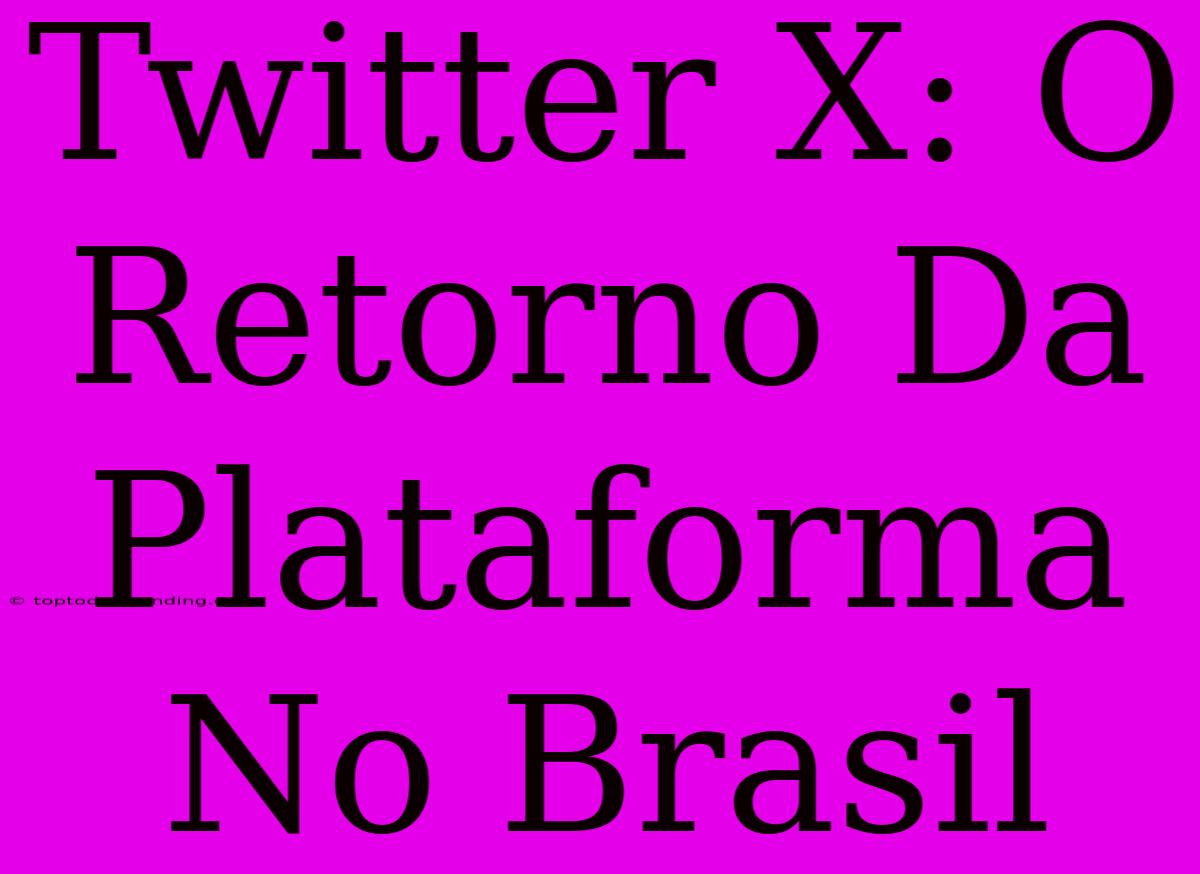 Twitter X: O Retorno Da Plataforma No Brasil